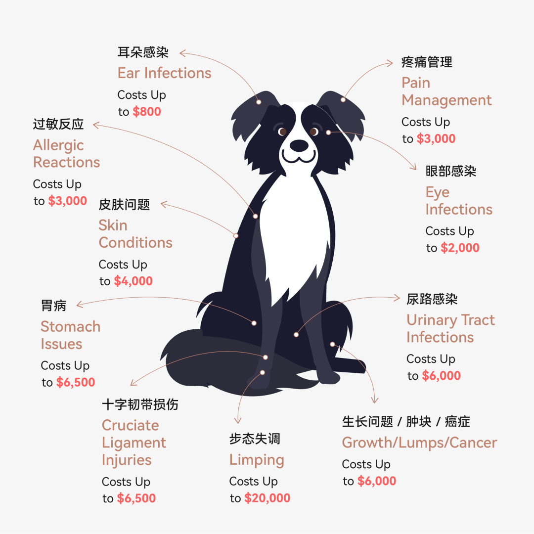 狗.png